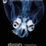 « Abysses » au Muséum d’histoire naturelle