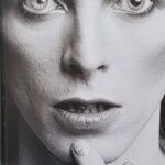 Flammarion, « David Bowie »
