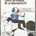 La transhumance