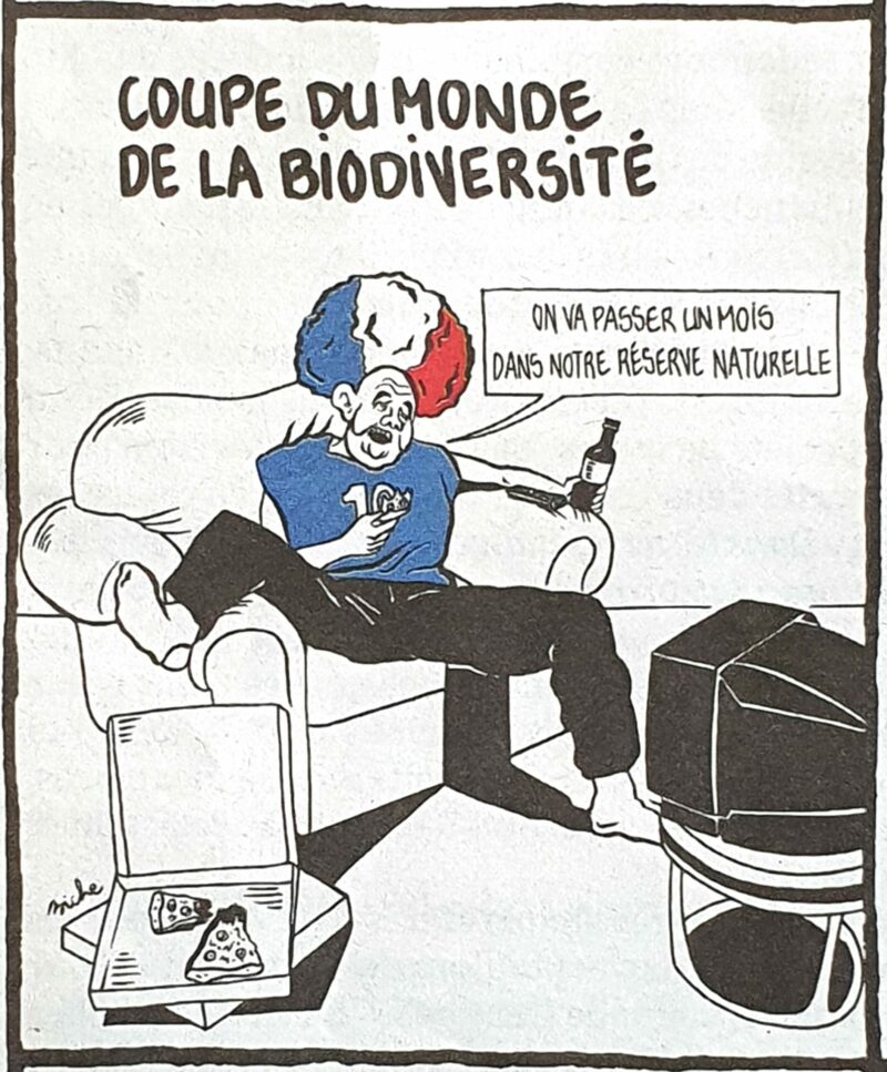 La transhumance