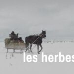 « Les herbes sèches » de Nuri Bilge Ceylan