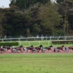 Aux courses