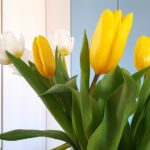 Le printemps s’annonce