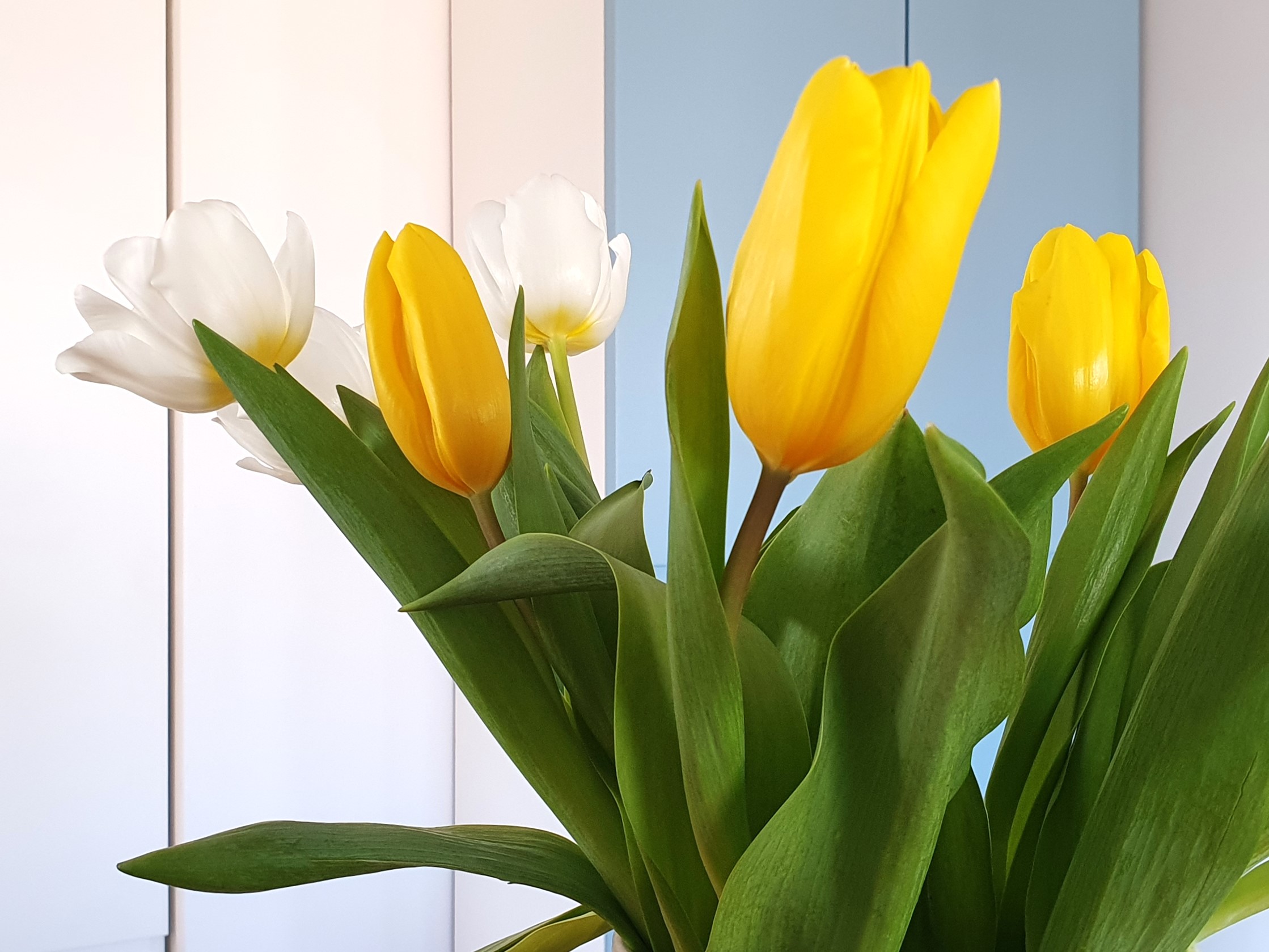Le printemps s’annonce